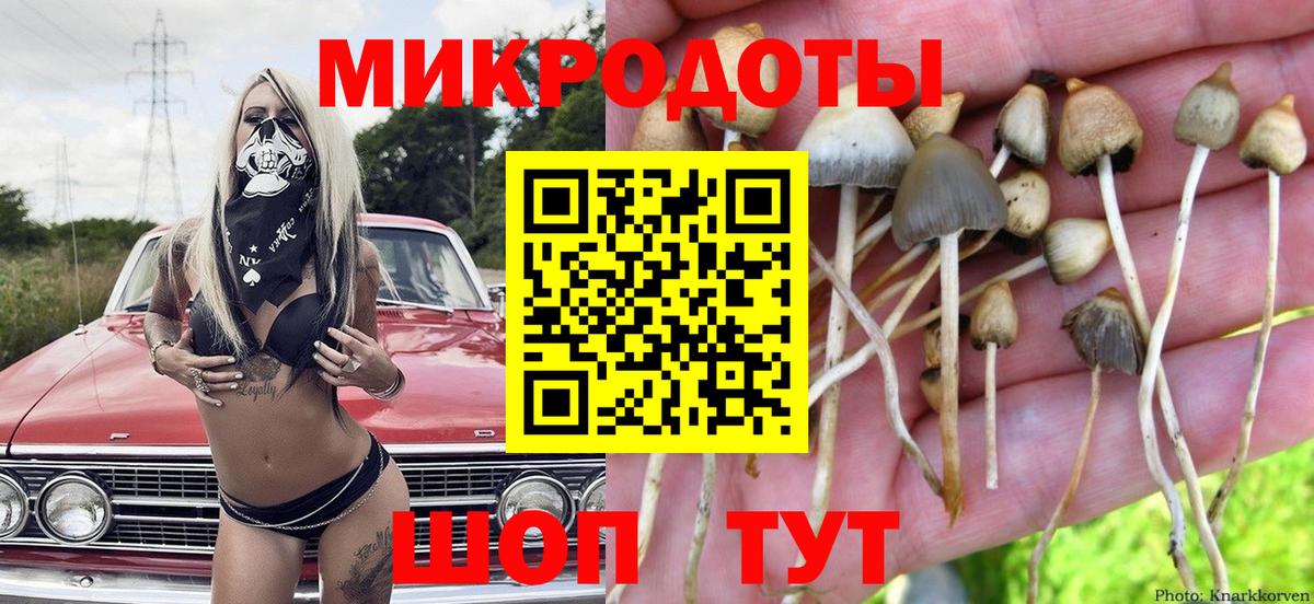 Меф Дятьково