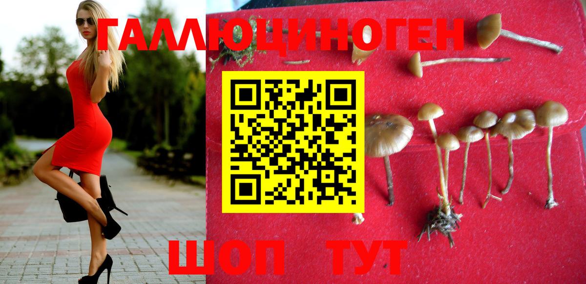 Дятьково  Псилоцибиновые грибы прущие грибы  Вход с VPN  купить закладку  Псилоцибиновые грибы мицелий 